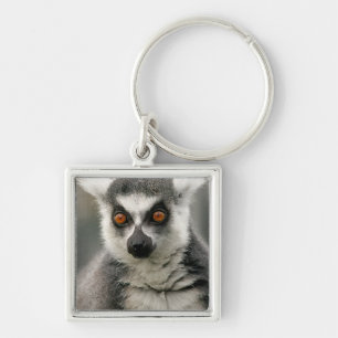 Llavero Lemur