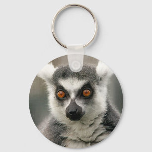 Llavero lemur de la cola del anillo