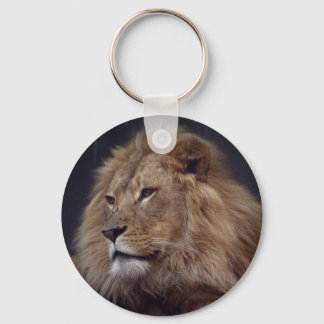 Llavero León