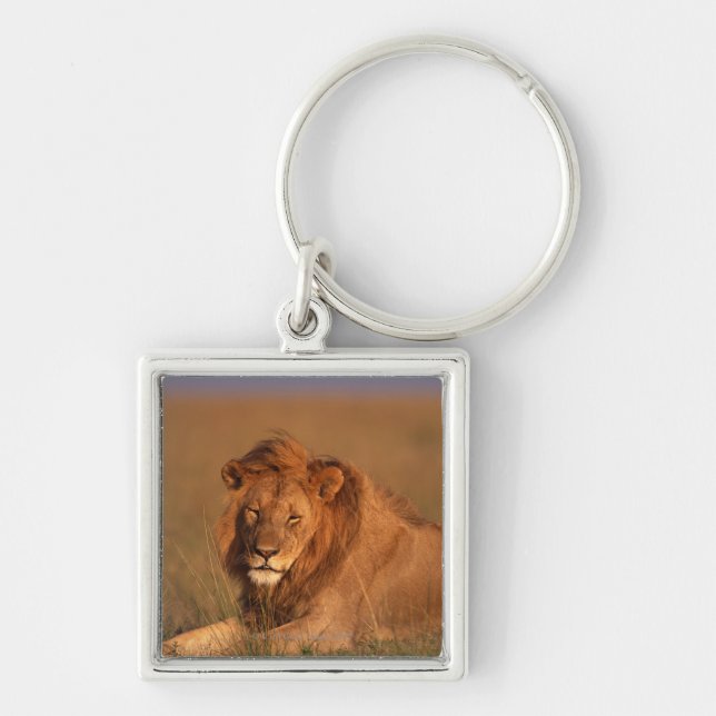 Llavero León (Frente)