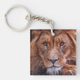 Llavero León africano