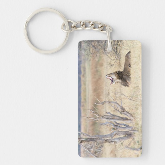 Llavero León de Yawning (Frente)