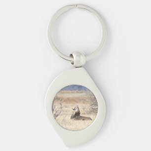 Llavero León de Yawning