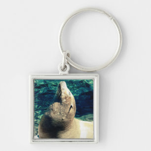 Llavero León del Mar del Sol