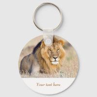 León en África fauna y flora Gran gato texto perso