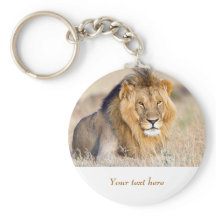 León en África fauna y flora Gran gato texto perso