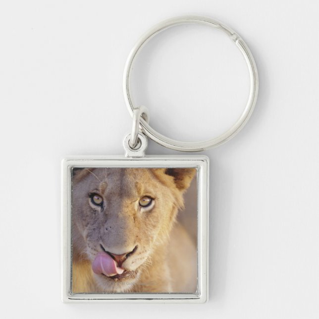 Llavero León masculino joven (Frente)
