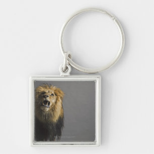 Llavero León que ruge