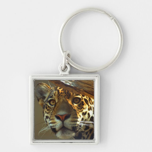 Llavero Leopardo (Frente)