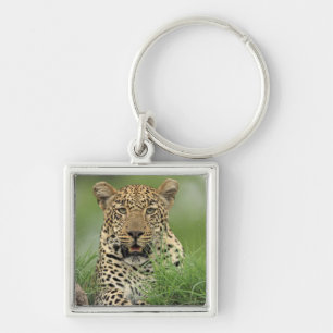 Llavero Leopardo, pardus del Panthera, juego de Sabi Sabi