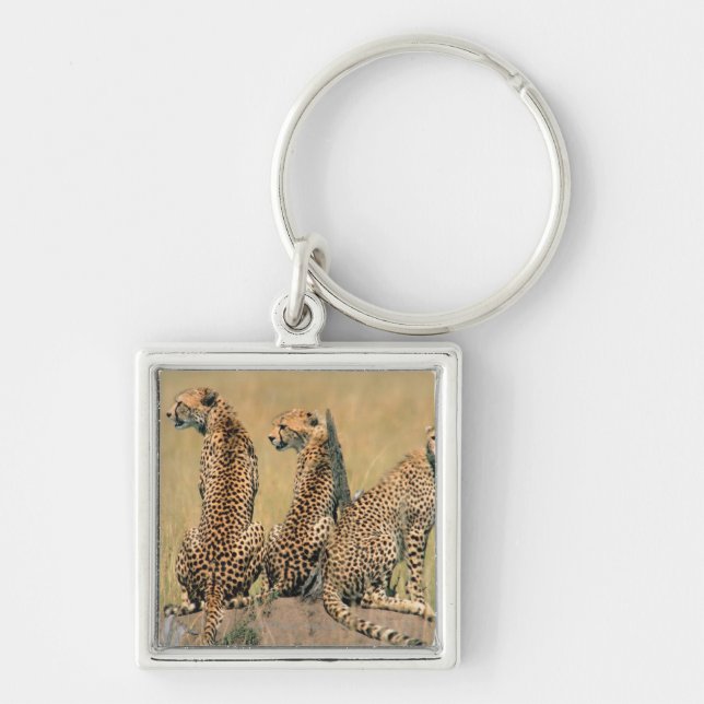 Llavero Leopardos que miran lejos (Frente)