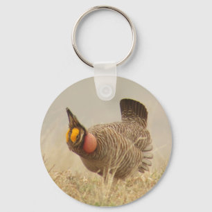 Llavero Lesser Prairie Chicken Keychain
