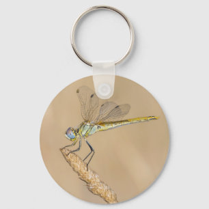 Llavero Libélula Skimmer Insecto Hembra (CC BY 4.0) Keycha