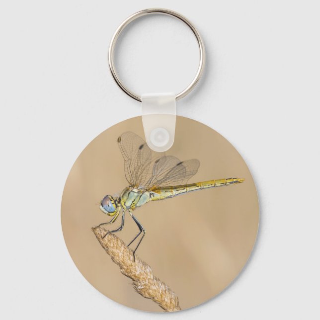 Llavero Libélula Skimmer Insecto Hembra (CC BY 4.0) Keycha (Anverso)
