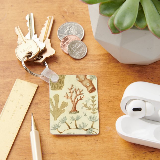 Llavero Libro de texto de ciencias biología, Animales de c (Escritorio )