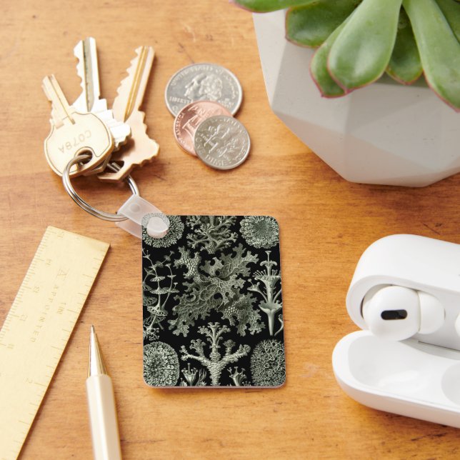 Llavero Lichen de Ernst Haeckel, Vintage Nature Plants (Escritorio )