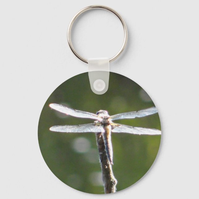 Llavero Light grey dragonfly (Anverso)
