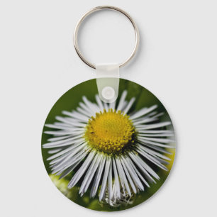 Llavero Li'l Daisy Keychain