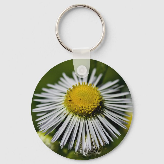 Llavero Li'l Daisy Keychain (Anverso)
