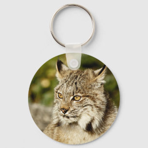 Llavero Lince canadiense