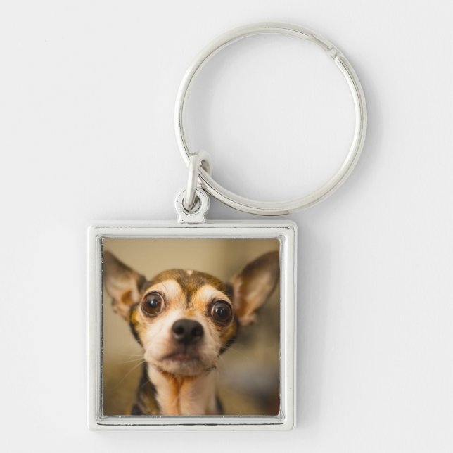 Llavero lindo 10 del perro (Frente)