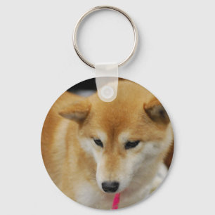 Llavero lindo de Shiba Inu