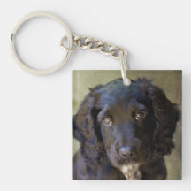 Llavero lindo del perrito