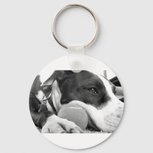 Llavero lindo perro pitbull de aspecto triste blanco negro