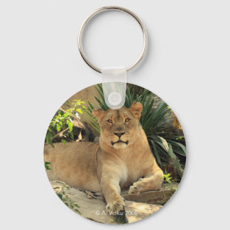 Llavero Lioness Keychain