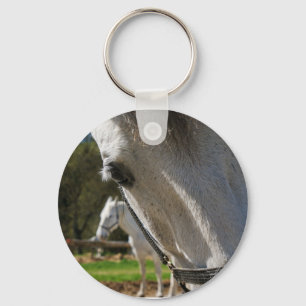 Llavero Lipizzaner