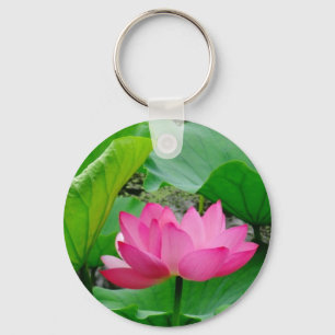 Llavero Lirio rosado en flor en primavera