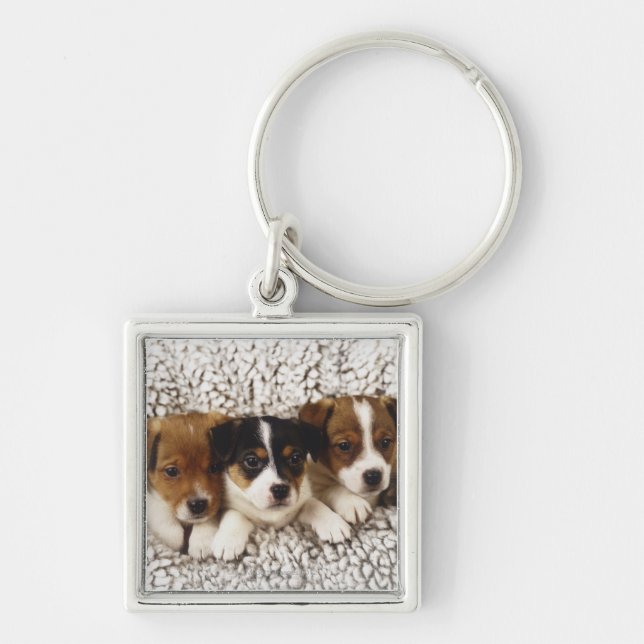 Llavero Litera de perritos (Frente)