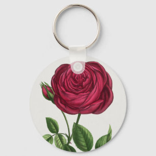 Llavero Litografía de rosa antigua, François-Frédéric Grob