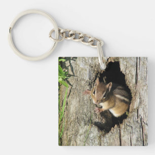 Llavero Little Chipmunk
