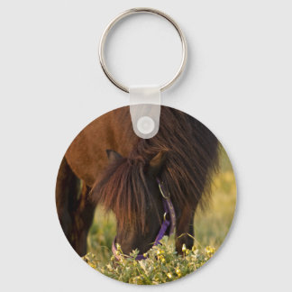 Llavero Little Sharni Shetland Pony