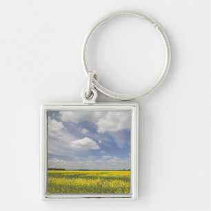 Llavero Lituania, Lituania central, Joniskis, campo de