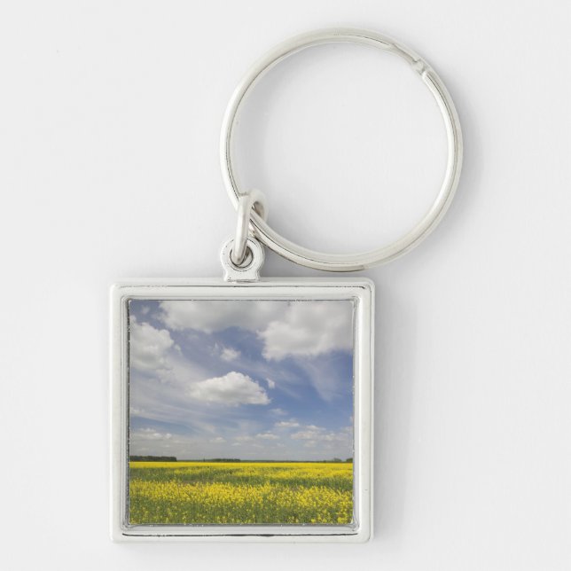 Llavero Lituania, Lituania central, Joniskis, campo de (Frente)