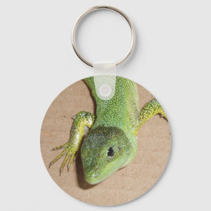 Llavero Lizard Keychain