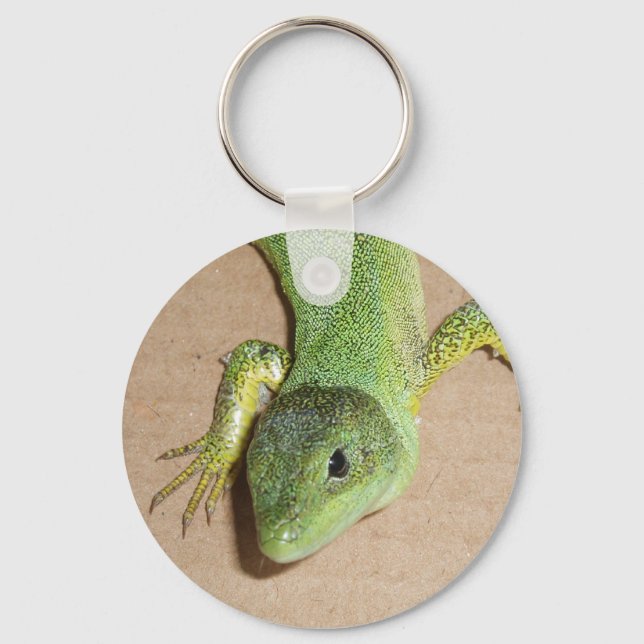 Llavero Lizard Keychain (Anverso)