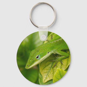 Llavero Lizard Keychain 01