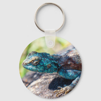 Llavero Lizard Keychain multicolor