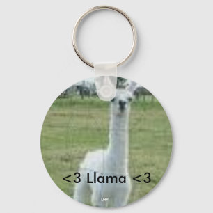 Llavero Llama