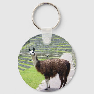 Llavero llama mira