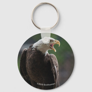 Llavero Llamada de águila calva