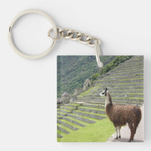 Llavero llamas