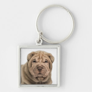 Llavero Llave Amor Cachorro Perro Shar Pei Chino