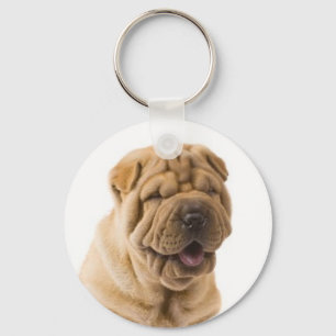 Llavero Llave Amor Cachorro Perro Shar Pei Chino