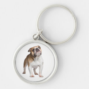Llavero Llave Cadeau Amante Perro Cachorro Bulldog Inglés
