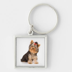 Llavero Llave Cadenilla Perro Cachorro Yorkshire Terrier A