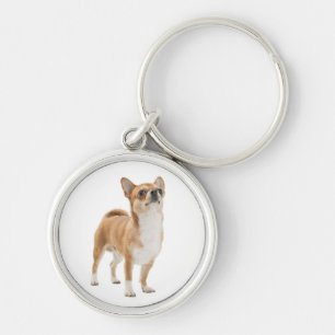 Llavero Llave Cadenita Perro Cachorro Chihuahua